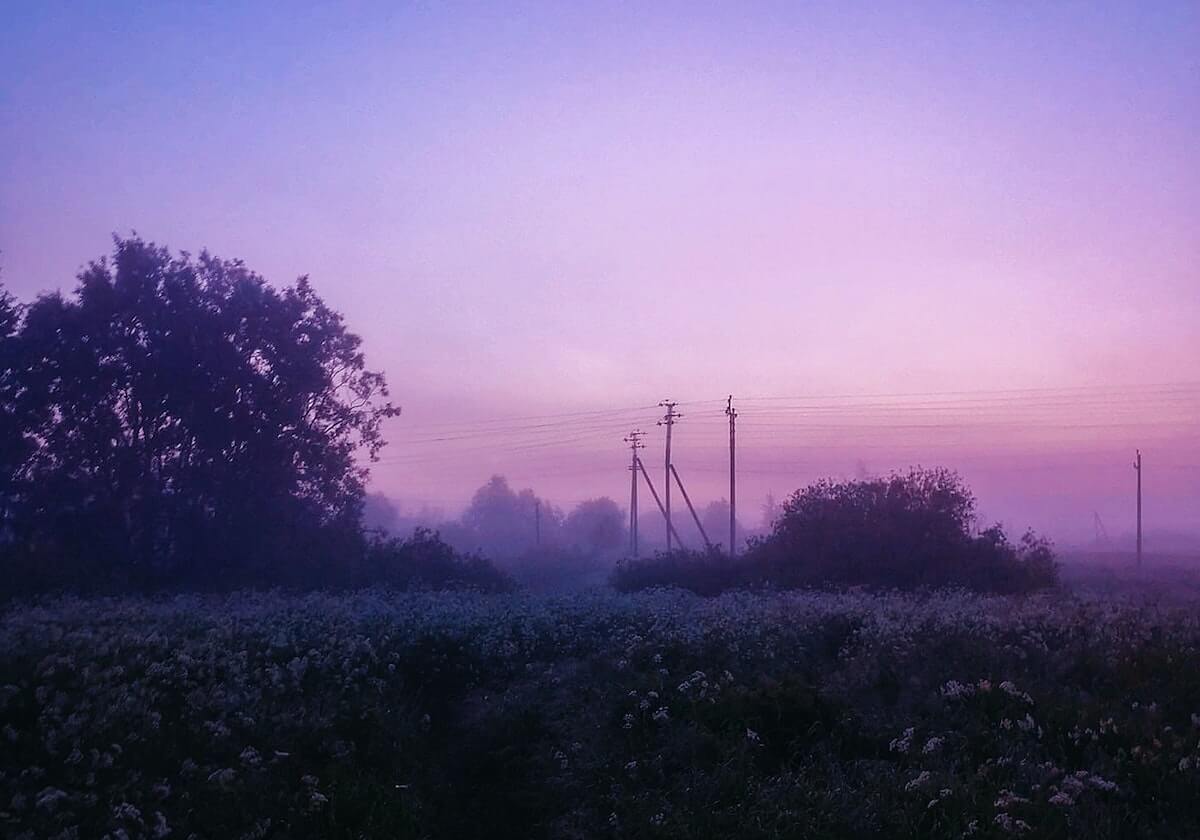 3-0王者首秀！顶薪续约樊振东，悬念只剩签字？